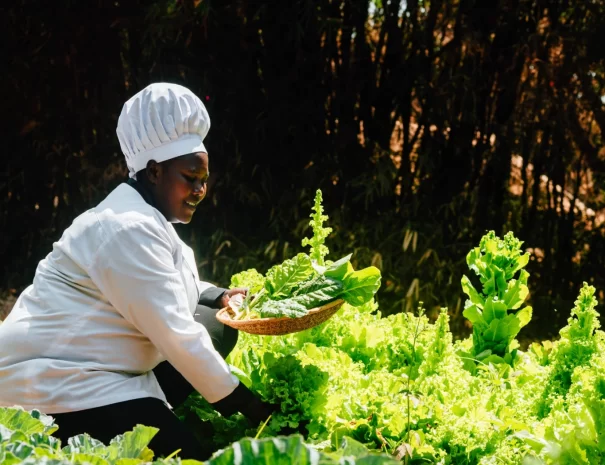restaurant-kitchen-garden-1750x1050